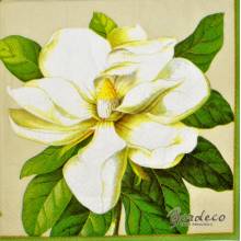 Serwetka do decoupage firmy IHR magnolia 33x33cm